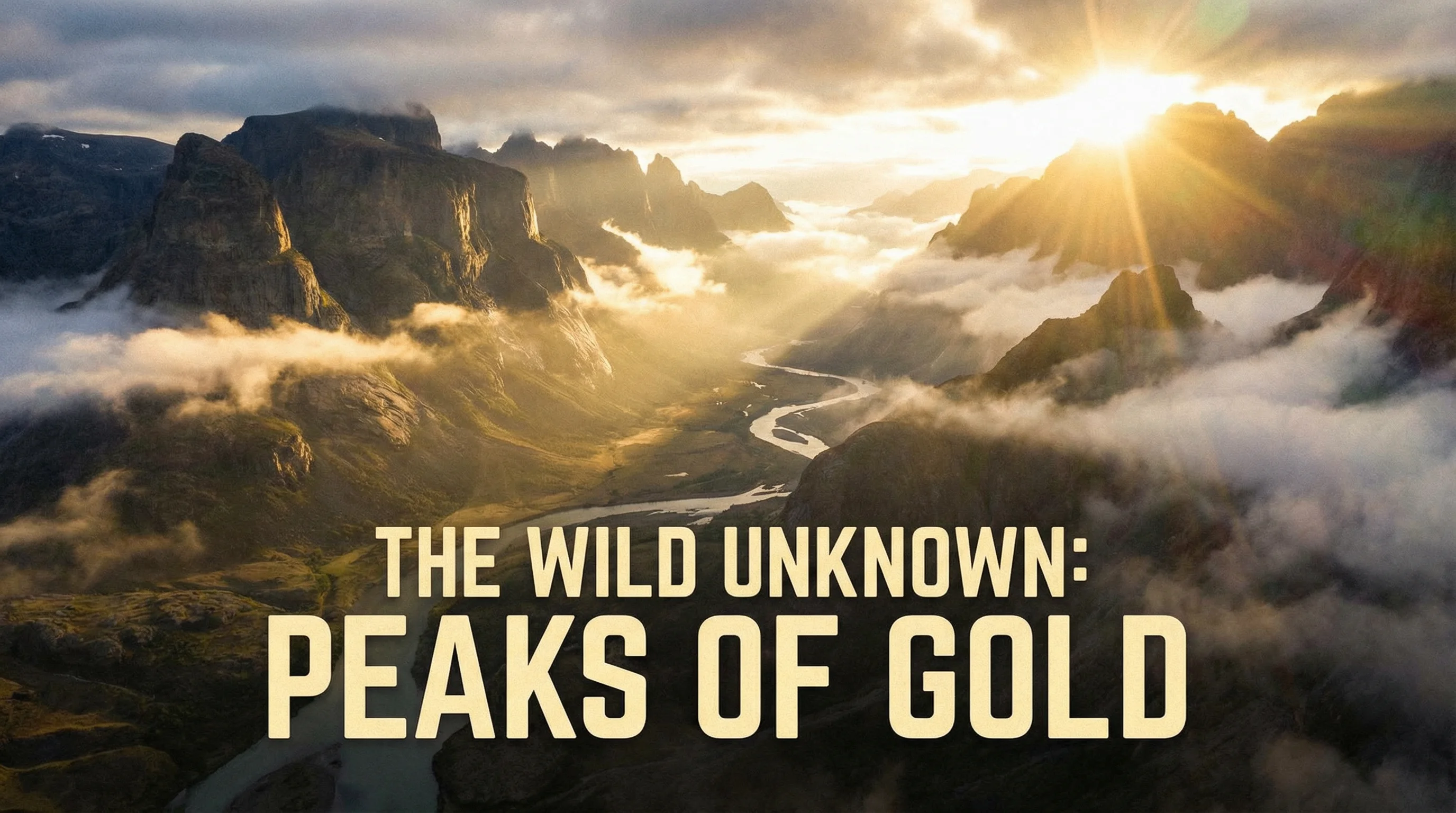 成人视频探花精选内容展示